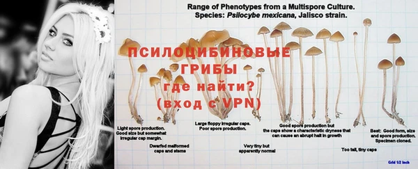 apvp Абинск