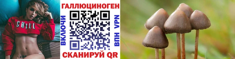 Псилоцибиновые грибы MAGIC MUSHROOMS  как найти   shop формула  Бугуруслан 