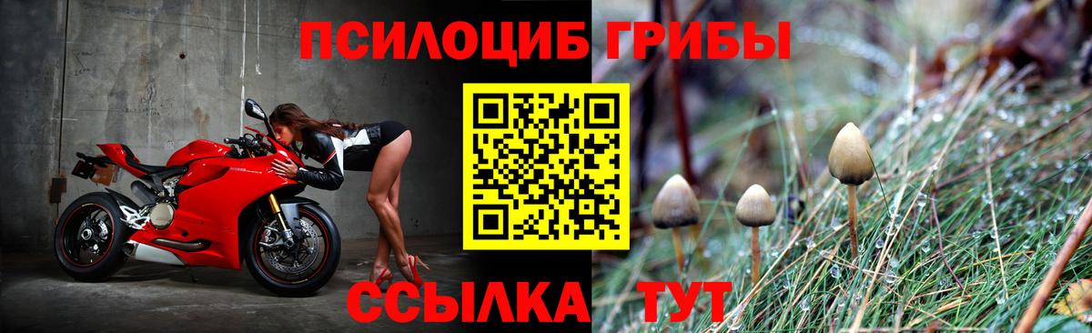 Псилоцибиновые грибы прущие грибы Бугуруслан