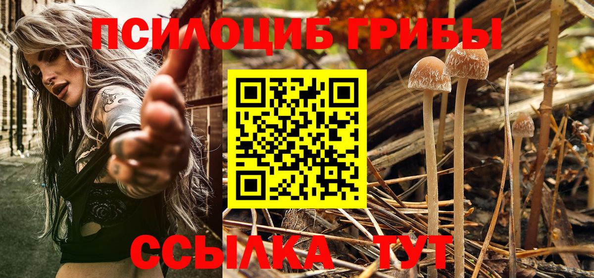 Псилоцибиновые грибы мухоморы  Вход с VPN  купить наркоту  Бугуруслан 
